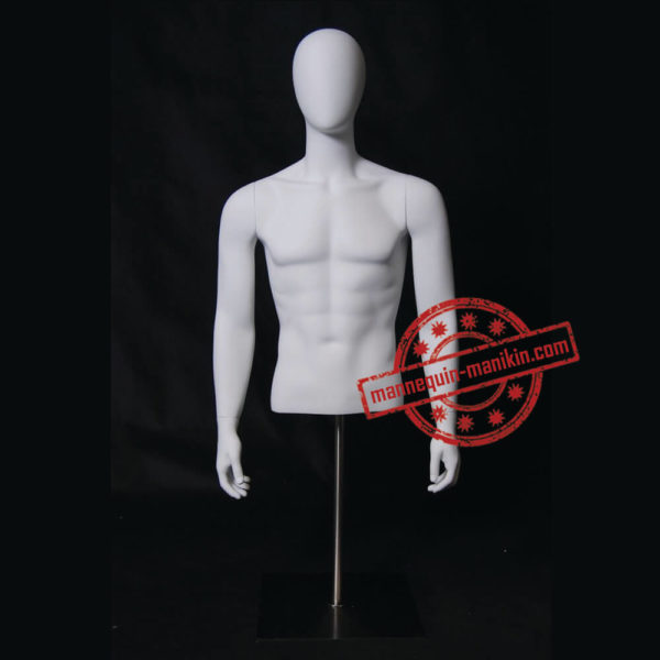 buy online torso busts in mannequin n manikin male torso busts 1