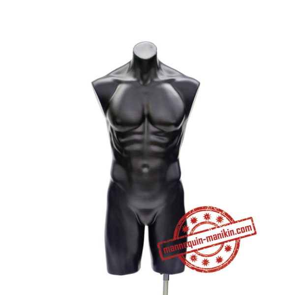 buy online torso busts in mannequin n manikin male torso busts 2