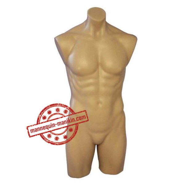 buy online torso busts in mannequin n manikin male torso busts 3