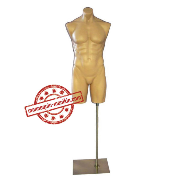 buy online torso busts in mannequin n manikin male torso busts 4
