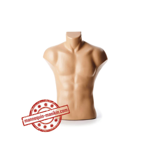buy online torso busts in mannequin n manikin male torso busts 6