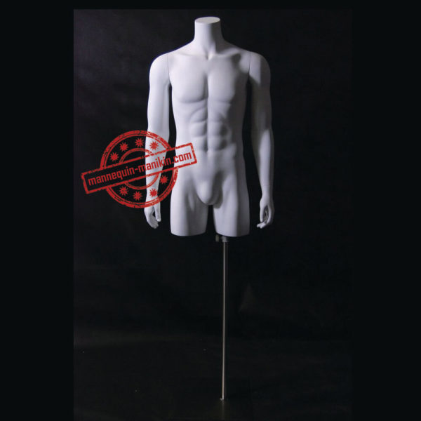 buy online torso busts in mannequin n manikin male torso busts 8
